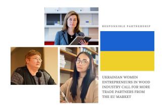 Ukrainian women entrepreneurs in wood industry 