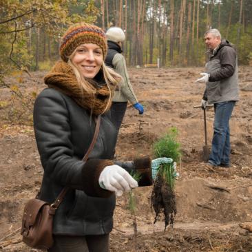 planting trees